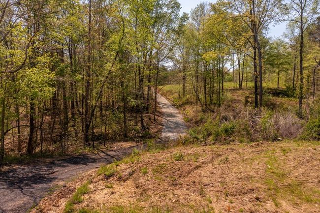 00 Cohutta Beaverdale Rd, Home with 0 bedrooms, 0 bathrooms and null parking in Cohutta GA | Image 8