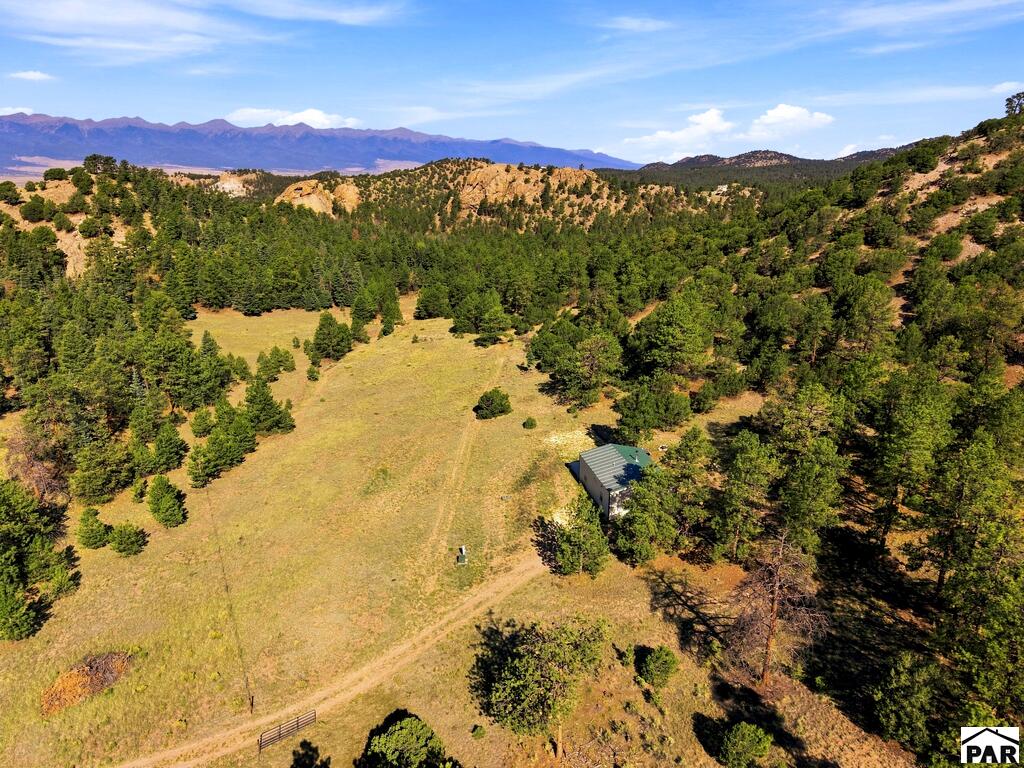 Residential in Westcliffe 3