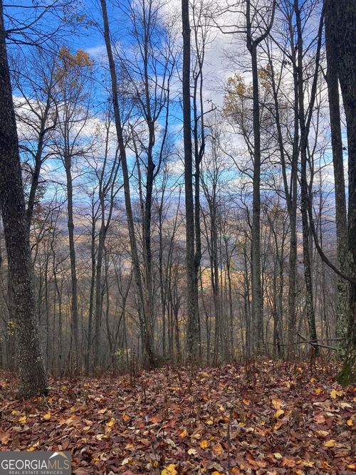 0 Crestview Dr, Otto, NC, 28763 | Card Image