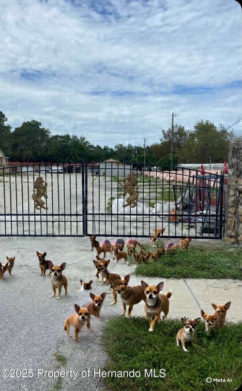 16201 Us Highway 19, Hudson, FL, 34667-4306 | Card Image