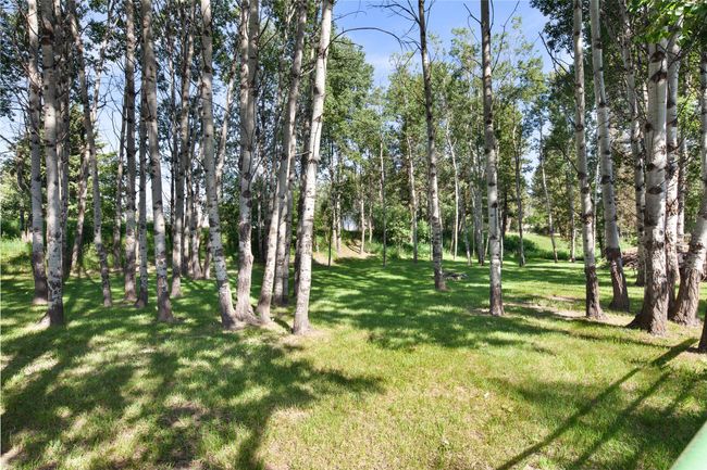 View of wooded yard | Image 54