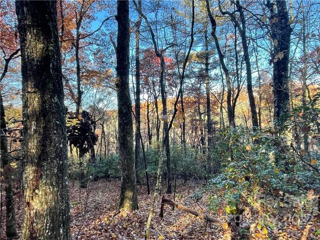 4 - 9999 Sassafras Ln, Home with 0 bedrooms, 0 bathrooms and null parking in Cedar Mountain NC | Image 22