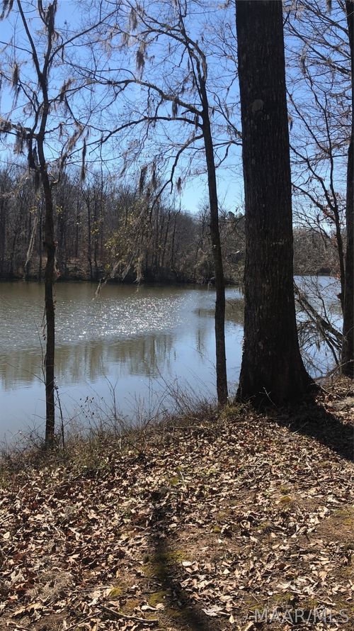 Lot 133 Red Eagle Dr, Lowndesboro, AL, 36752 | Card Image