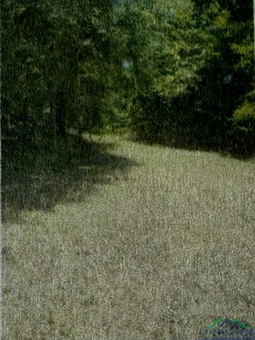 TBD 2nd St, Avinger, TX, 75630 | Card Image