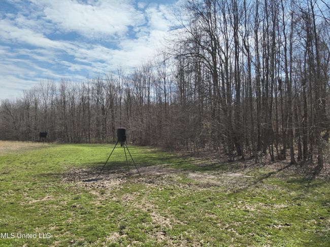 DJI_20250303113137_0009_V | Image 4