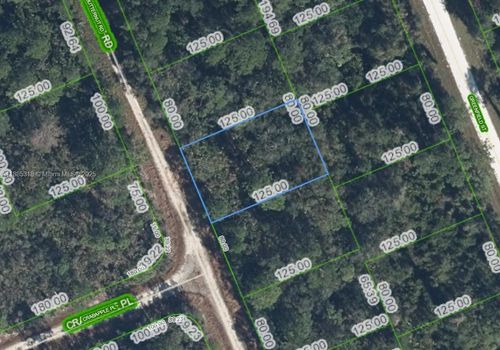 1131 Butternut Rd, Lake Placid, FL, 33852 | Card Image