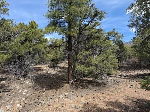 Lot 58 Upper Pinabette Rd, Questa, NM, 87556 | Card Image