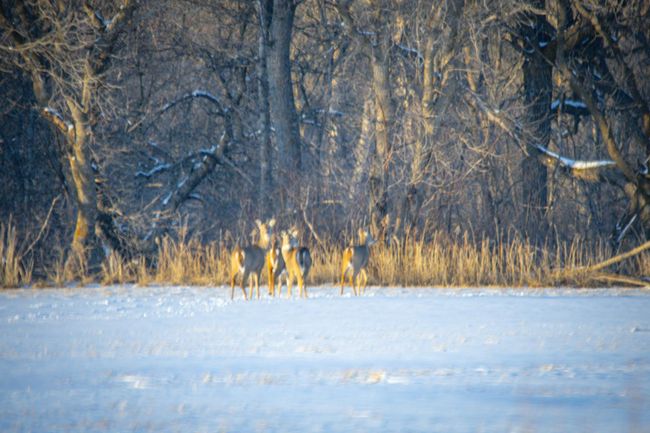 TBDE80 Cormant Rd (54).jpg | Image 57