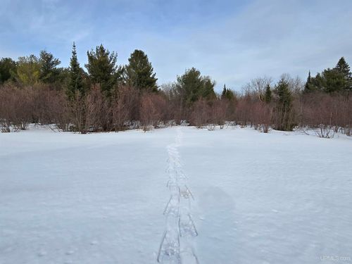 TBD M 38 Highway, Greenland, MI, 49929 | Card Image