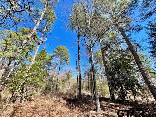 LOT 10 Cr 3545, Hawkins, TX, 75765 | Card Image