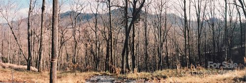 24 Anns Ln, Hayesville, NC, 28904 | Card Image