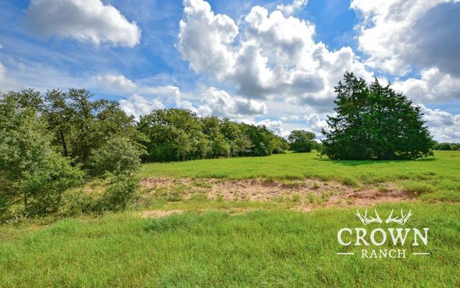 View of nature with rural landscape | Image 15