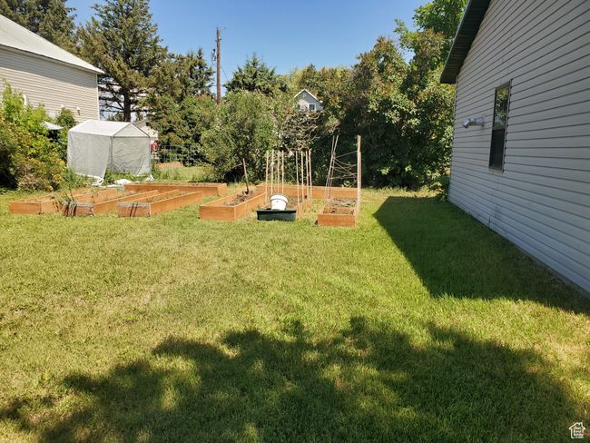 View of green lawn featuring a vegetable garden | Image 27