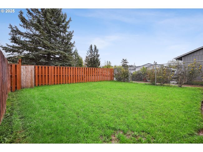 Backyard | Image 19