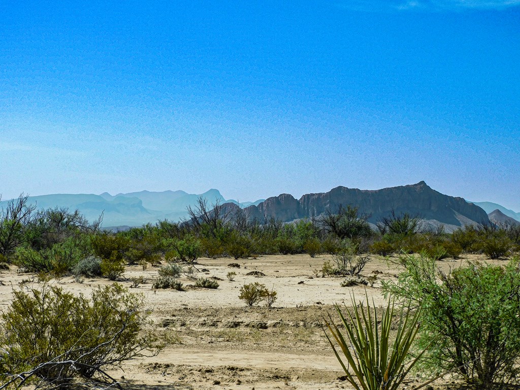 Land in Terlingua 5