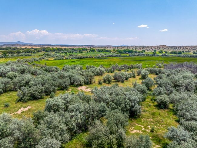 7 Sparkling Moolah, Home with 0 bedrooms, 0 bathrooms and null parking in Pena Blanca NM | Image 10