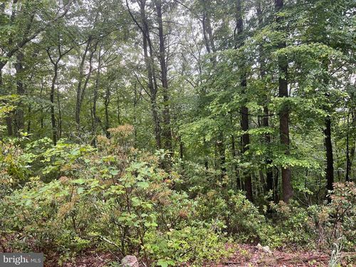 Lots 16, 17, 18 Halterman Drive, CAPON BRIDGE, WV, 26711 | Card Image
