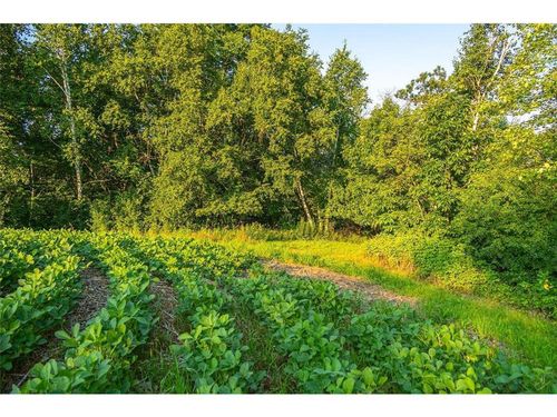 TBD County Rd N, Blair, WI, 54616 | Card Image