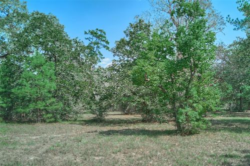 16039 Yaupon Berry, Plantersville, TX, 77363 | Card Image