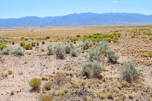 16e-Lot 206 Rancherita Rd, Los Lunas, NM, 87031 | Card Image