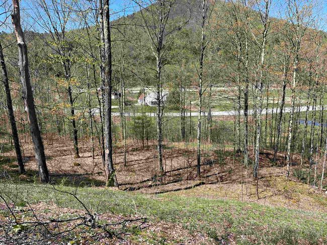 00 Vt Route 103, Home with 0 bedrooms, 0 bathrooms and null parking in Wallingford VT | Image 7