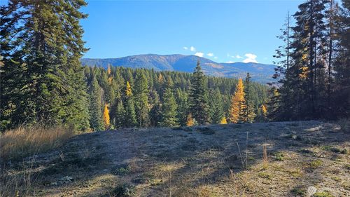 717 Finley Gulch Rd, Colville, WA, 99114 | Card Image