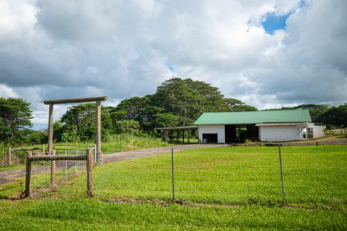 681 Hoaka Rd, HILO, HI, 96720-3511 | Card Image