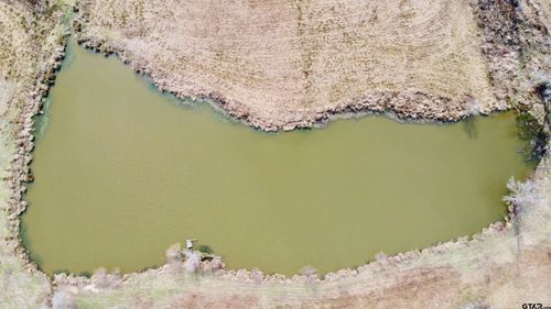 TBD Cr 1460-2, Linden, TX, 75563 | Card Image