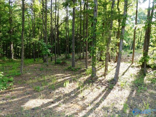 Lot 75 Harbor Lights Trail, Jasper, AL, 35504 | Card Image