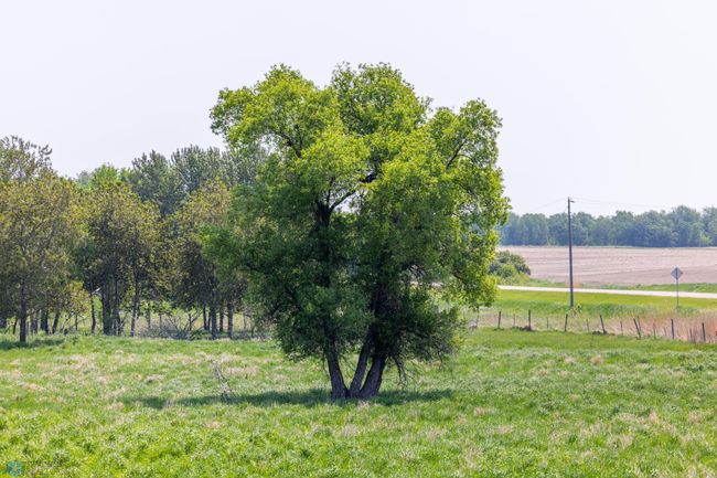 Amdak__Fosston MN - Land_0014.jpg | Image 15