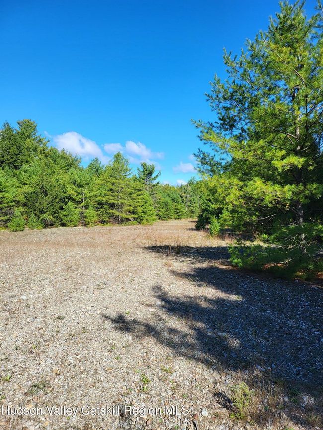 64109119 Peninsula Rd, Home with 0 bedrooms, 0 bathrooms and null parking in Pottersville NY | Image 6