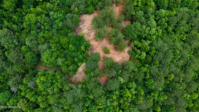 DJI_20250605160535_0677_D.00_04_28_14.St | Image 35