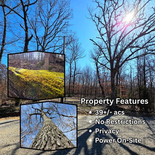 001 Abadyl Rd, Fordland, MO, 65652 | Card Image