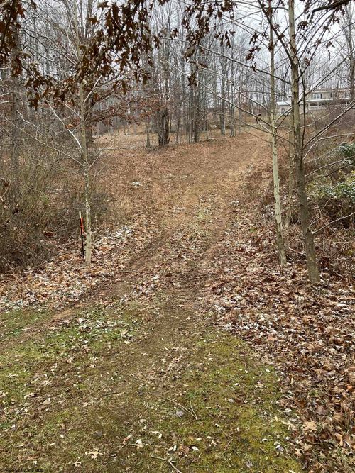 26-82 Doe Ln, Buckhannon, WV, 26201-4008 | Card Image