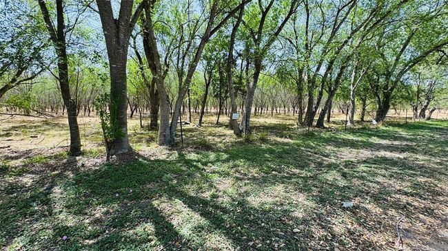 26 Sw 10 Th St, Home with 0 bedrooms, 0 bathrooms and null parking in Premont TX | Image 4