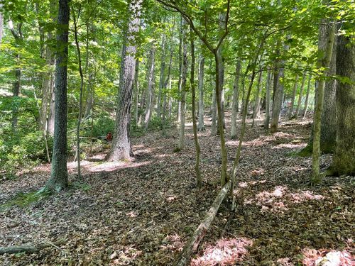 0 Cedar Bluff Ln, Hardy, VA, 24101 | Card Image