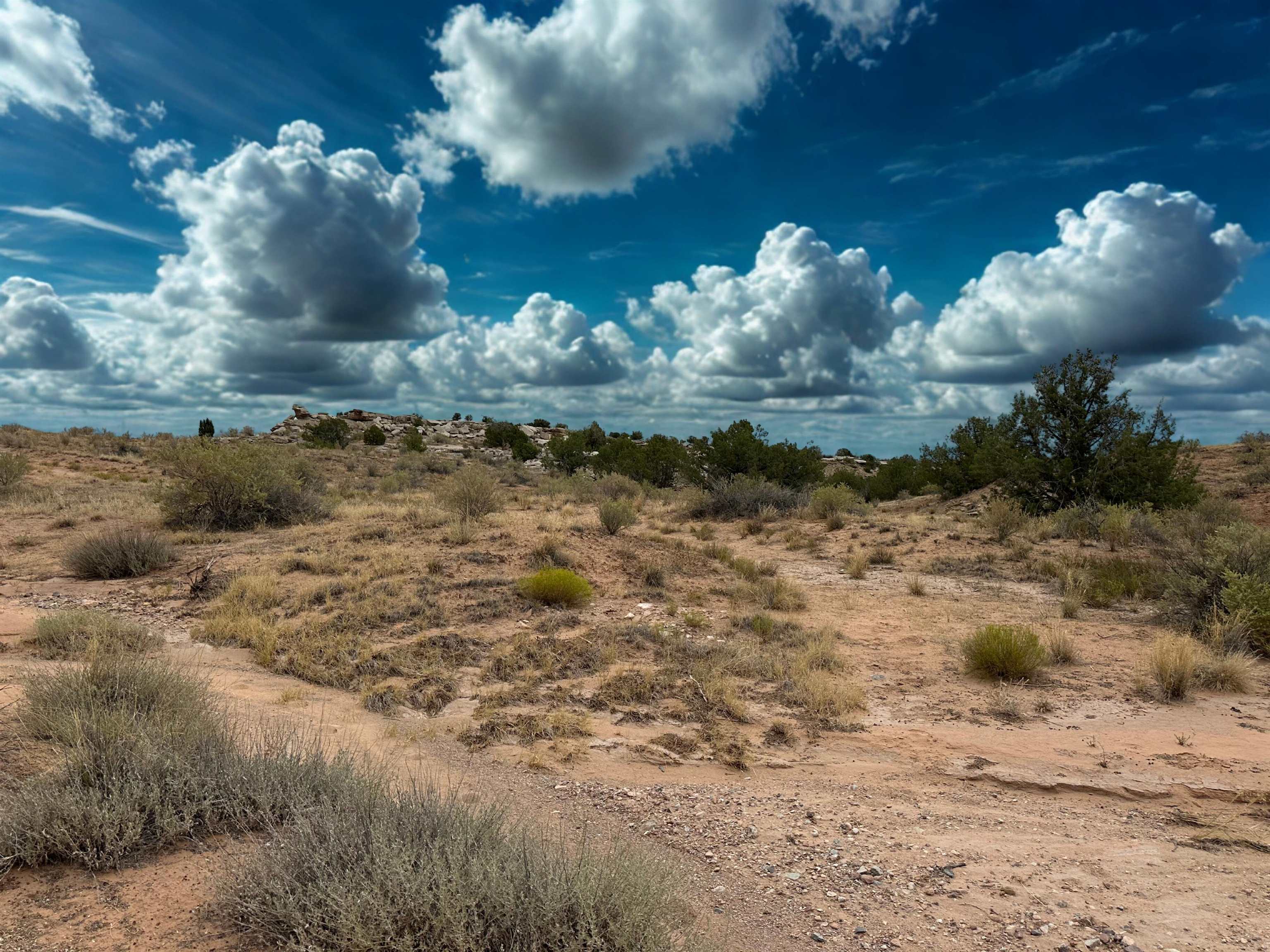 Land in Fruita 2