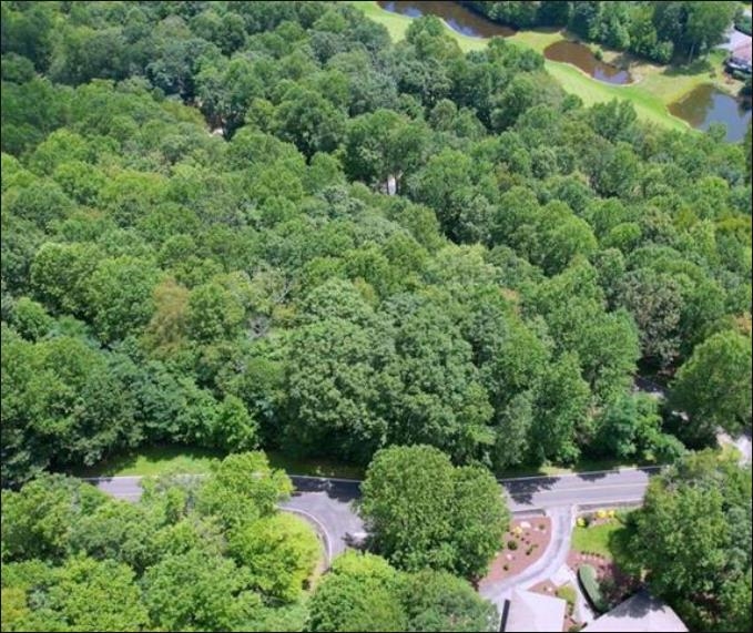 Land in Landrum 2