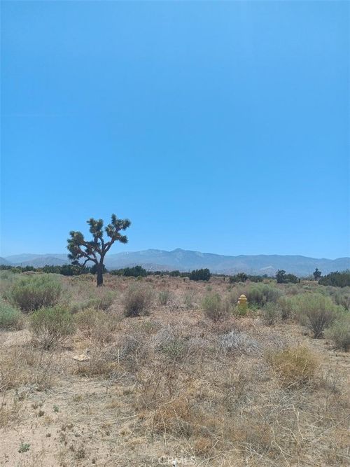 0 Yucca Terrace Dr, Phelan, CA, 92371 | Card Image