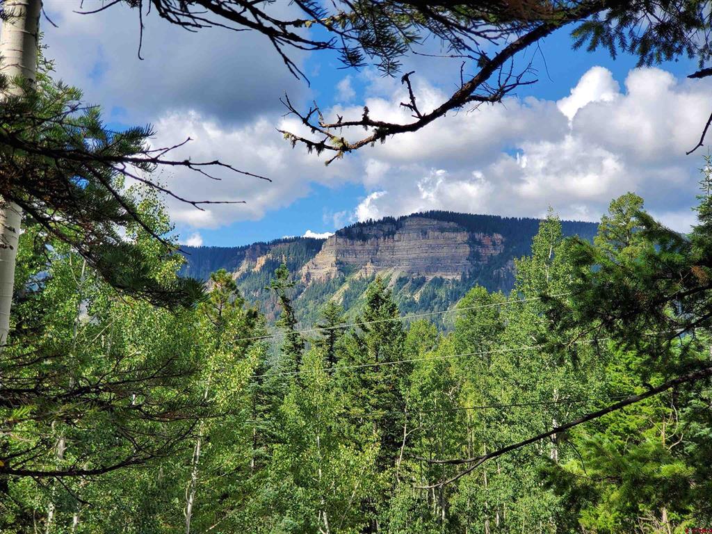 Columbine Way, Durango, CO 81301