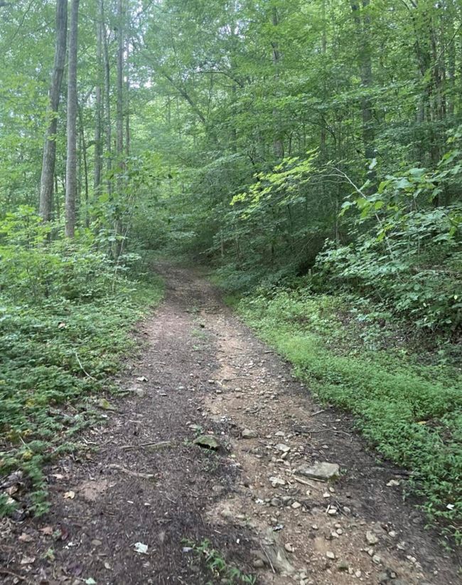 45 Kinkaid Rd, Home with 0 bedrooms, 0 bathrooms and null parking in Manchester KY | Image 9