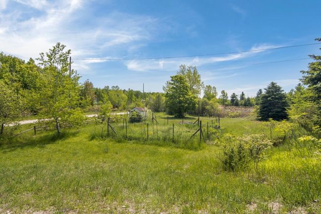 Fenced in Garden Area | Image 43