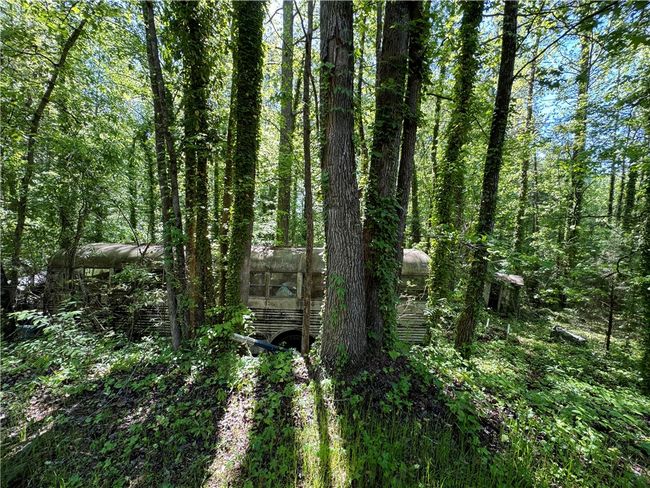 160 W Tyger Bridge Rd, Home with 0 bedrooms, 0 bathrooms and null parking in Taylors SC | Image 4