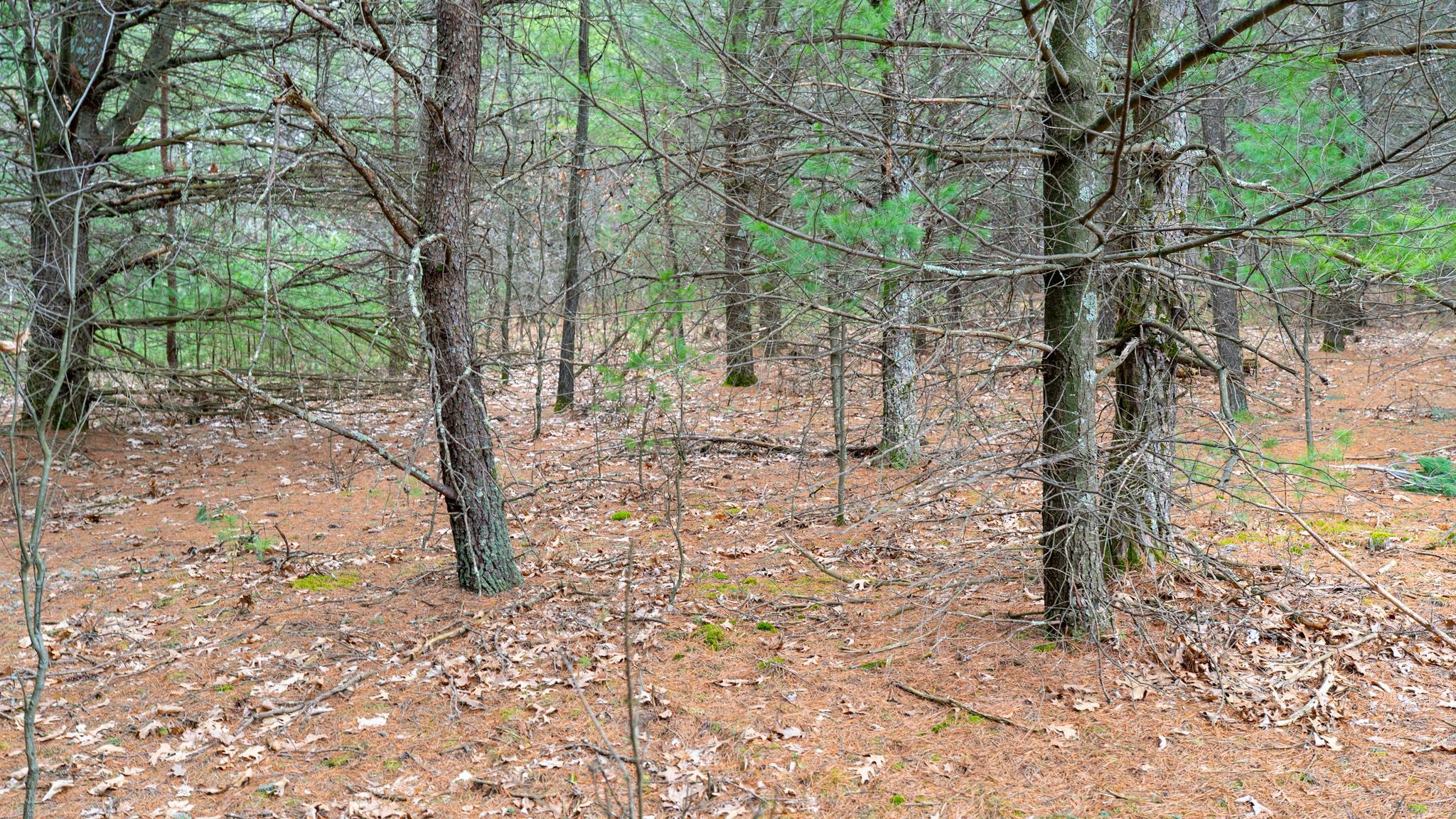 Land in Adams 4