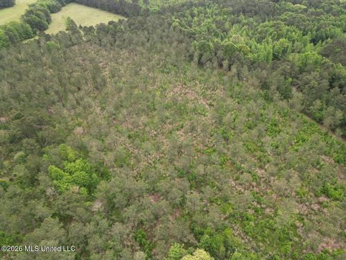 167 E West Morgan, Arcadia, LA, 71001 | Card Image