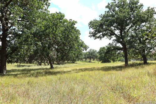 LOT 31 Orchard Park Blvd, Medina, TX, 78055 | Card Image