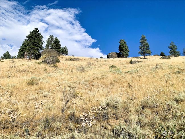100 Pine Bluffs Ln, Home with 0 bedrooms, 0 bathrooms and null parking in Waterville WA | Image 20