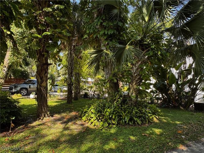View of yard | Image 24