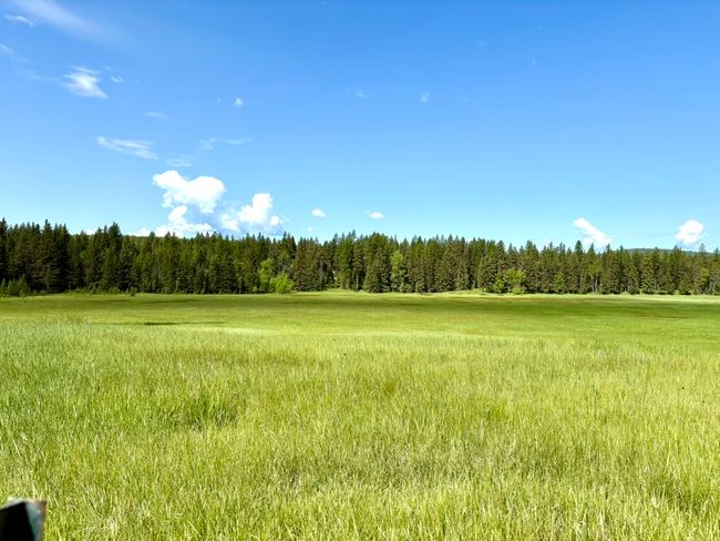 view of the marsh looking toward the home. | Image 30