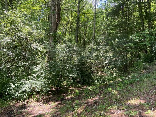 TBD Greenwood Rd, Bluefield, WV, 24701 | Card Image